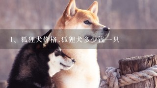 狐狸犬价格,狐狸犬多少钱一只