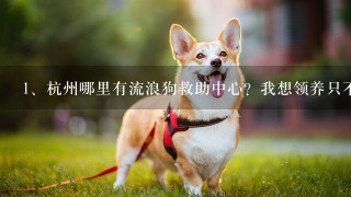 杭州哪里有流浪狗救助中心？我想领养只不要收费的。