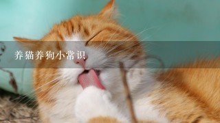 养猫养狗小常识