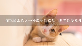 猫咪通常给人一种蠢萌的感觉，世界最受欢迎宠物猫品