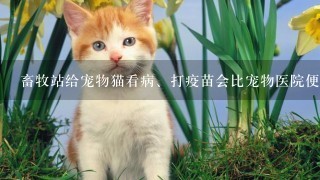 畜牧站给宠物猫看病、打疫苗会比宠物医院便宜吗？