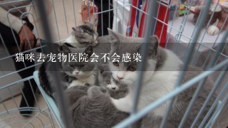 猫咪去宠物医院会不会感染