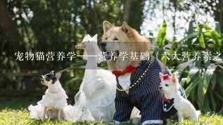 宠物猫营养学——营养学基础（六大营养素之蛋白质）