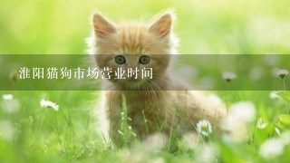 淮阳猫狗市场营业时间