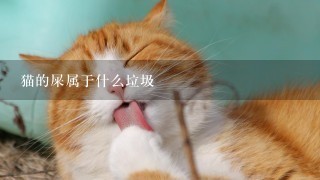 猫的屎属于什么垃圾