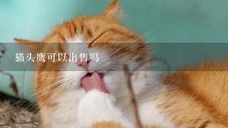 猫头鹰可以出售吗