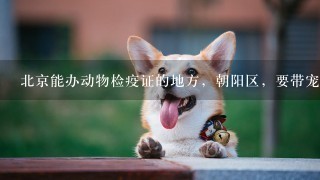 北京能办动物检疫证的地方，朝阳区，要带宠物上飞机。