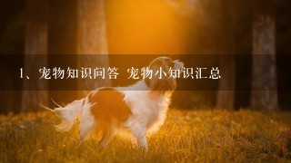 宠物知识问答 宠物小知识汇总