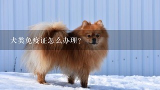 犬类免疫证怎么办理？