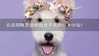 在深圳哪里给狗绝育手术好？多少钱？