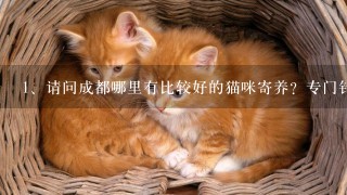 请问成都哪里有比较好的猫咪寄养？专门针对猫咪的，