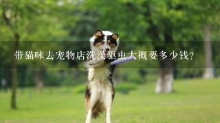 带猫咪去宠物店洗澡驱虫大概要多少钱？