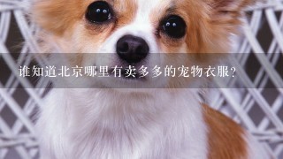 谁知道北京哪里有卖多多的宠物衣服？