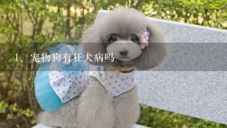 宠物狗有狂犬病吗