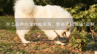 什么品种的宠物蛇无毒、性格比较凶猛!温顺一点也行!吃鱼、蛋、鼠、鸟或者生猪肉和蛙类价格在200元以内