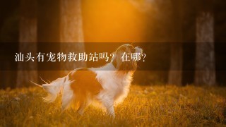 汕头有宠物救助站吗？在哪?