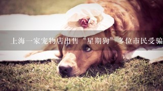 上海一家宠物店出售“星期狗”多位市民受骗