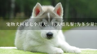 宠物犬柯基七个月大，每天喂几餐?为多少量？