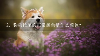 狗狗拉屎的正常颜色是什么颜色？