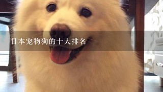 日本宠物狗的十大排名