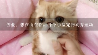 创业：想在山东临沂开个小型宠物狗养殖场