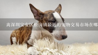 离深圳宝安区松岗镇最近的宠物交易市场在哪?