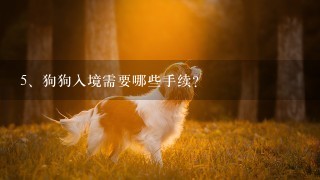 狗狗入境需要哪些手续?