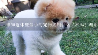 谁知道体型最小的宠物犬叫什么品种吗？谢谢！