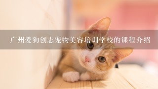 广州爱狗创志宠物美容培训学校的课程介绍