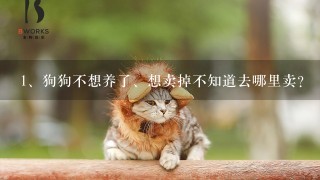 狗狗不想养了、想卖掉不知道去哪里卖？