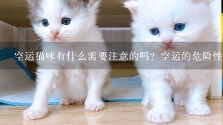 空运猫咪有什么需要注意的吗？空运的危险性有多大？