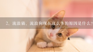 流浪猫、流浪狗现在这么多的原因是什么？