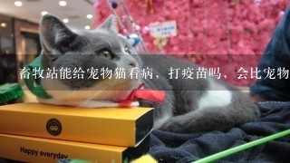 畜牧站能给宠物猫看病，打疫苗吗，会比宠物医院便宜吗