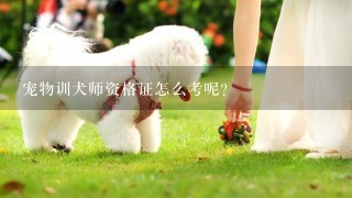 宠物训犬师资格证怎么考呢？