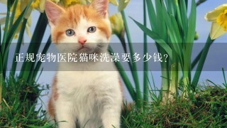 正规宠物医院猫咪洗澡要多少钱?