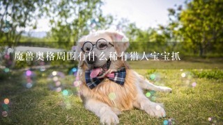 魔兽奥格周围有什么稀有猎人宝宝抓