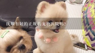 抚顺有好的正规的宠物医院吗？