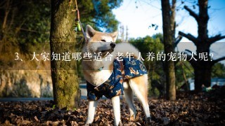 大家知道哪些适合老年人养的宠物犬呢？