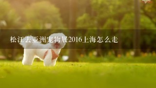 松江去亚洲宠物展2016上海怎么走