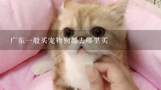 广东一般买宠物狗都去哪里买