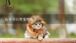 高铁可以带宠物猫吗