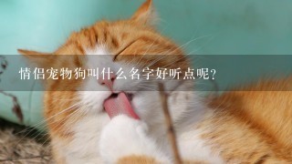 情侣宠物狗叫什么名字好听点呢？