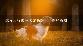 怎样入行做一名宠物医生，途径攻略