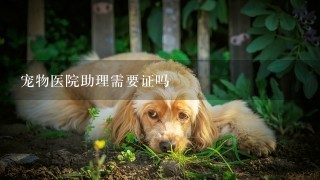 宠物医院助理需要证吗