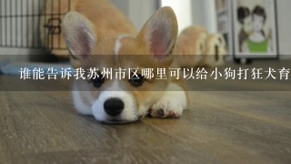 谁能告诉我苏州市区哪里可以给小狗打狂犬育苗啊？