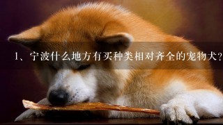 宁波什么地方有买种类相对齐全的宠物犬？