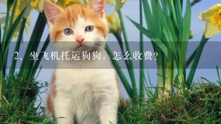 坐飞机托运狗狗，怎么收费？