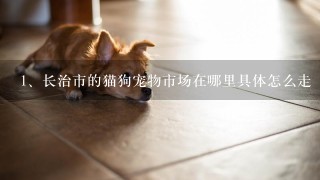 长治市的猫狗宠物市场在哪里具体怎么走