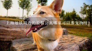 上海地铁周边的长租公寓哪家可以养宠物呀？有人了解