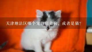 天津塘沽区哪个宠物店卖狗。或者是猫？